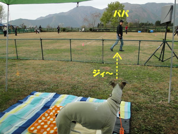 20101113_MtFuji_08
