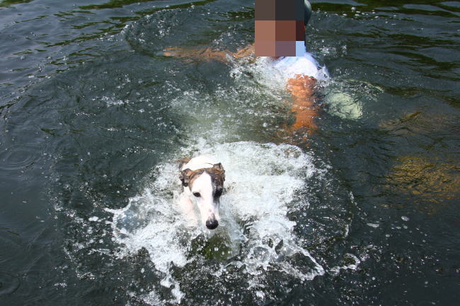 20130811_tamagawa_14