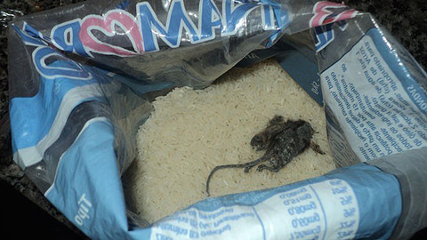 caso-rato-pacote-de-arroz-20130215-01-size-620
