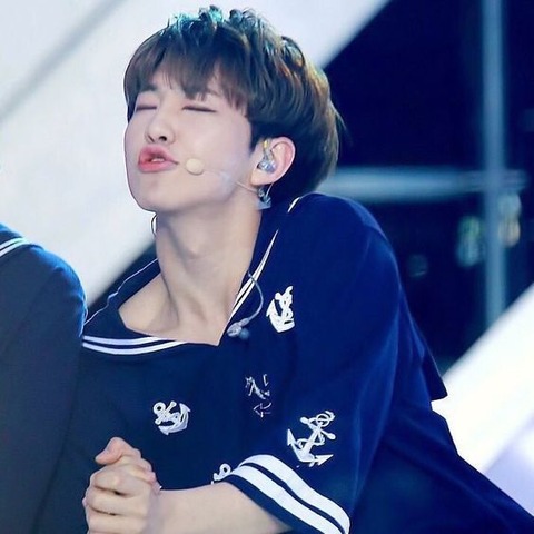 SEVENTEEN ホシ ⑤ Spider - 妄想heaven