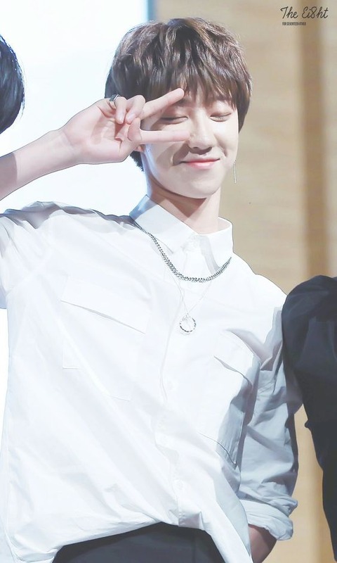 SEVENTEEN (세븐틴)/THE8(ディエイト) 画像5 : ぴよぴよにっき