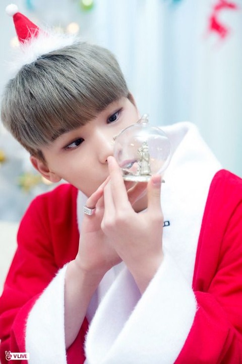 SEVENTEEN (세븐틴)/DINO(ディノ) 画像2 : ぴよぴよにっき