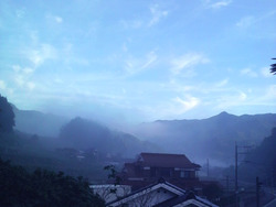 1011朝もや