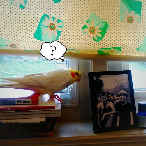 BlogPaint