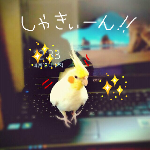 BlogPaint