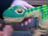 PLEO2