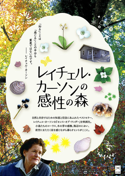 SOW_flyer