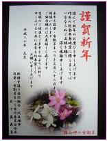 1.6