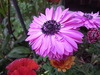 R0014515