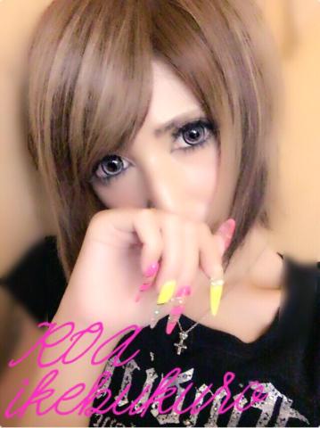 grdr0014336193_0141743763pc.jpeg