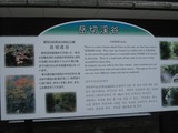 岳切渓谷7