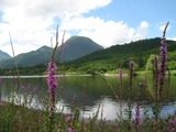 初秋の志高湖
