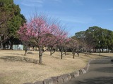 南立石公園4