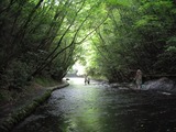 岳切渓谷2