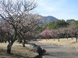 南立石公園3