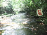 岳切渓谷4