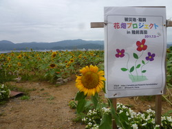 P1150014