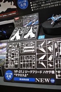 ST-HASEGAWA 102 (7)