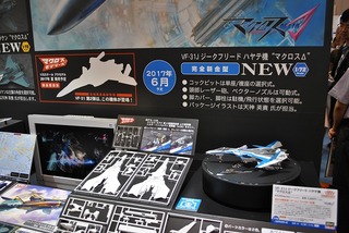 ST-HASEGAWA 101 (2)