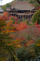 Kiyomizu Temple