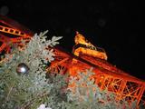 Tokyo Tower Christmas