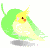 bird_01