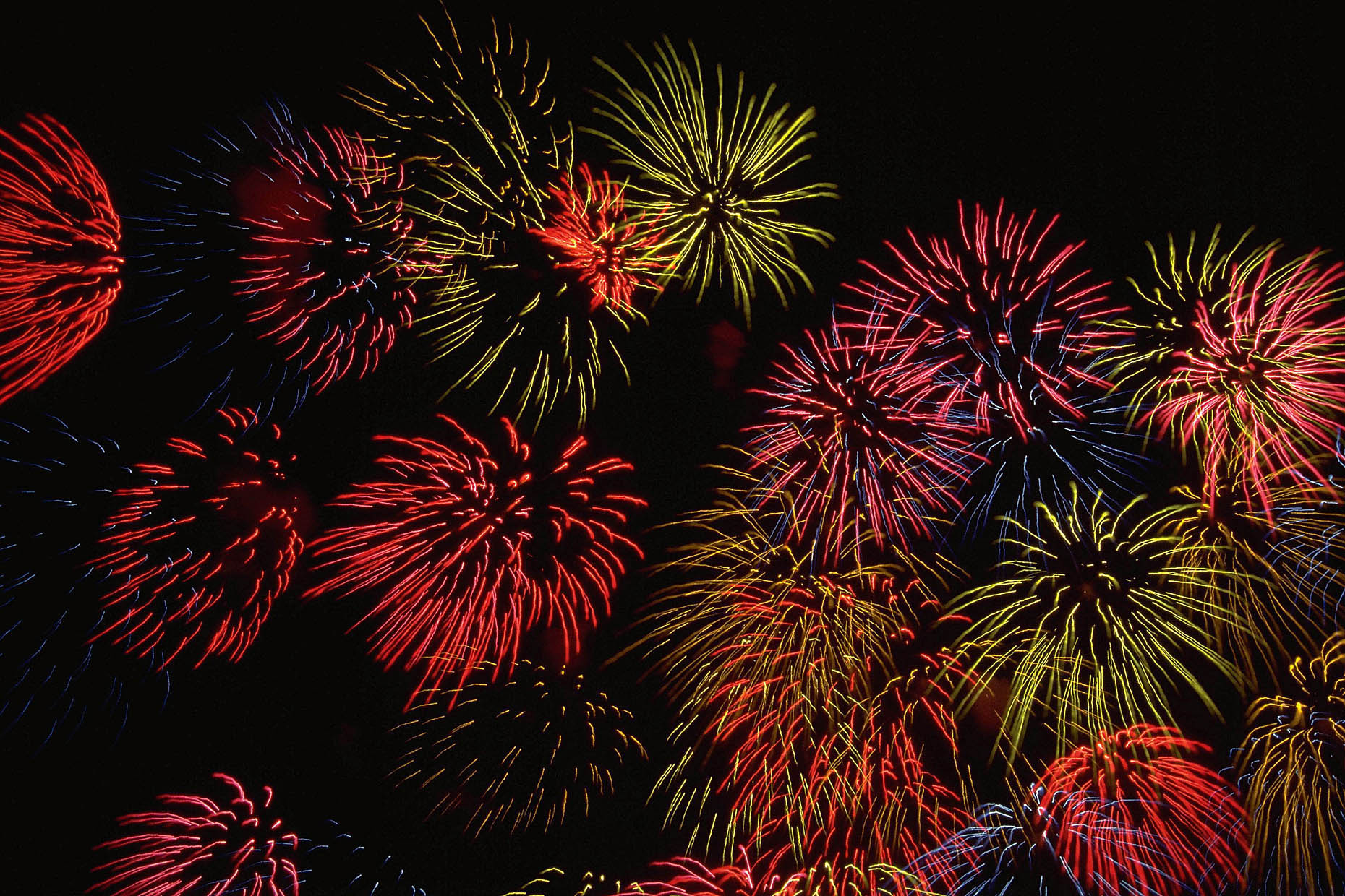 Hanabi 1