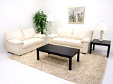 living furniture