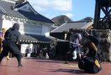 Ninja show_Nikko Edo-mura
