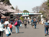 Ueno Zoo