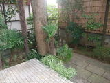 garden2