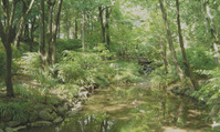 arisugawa park