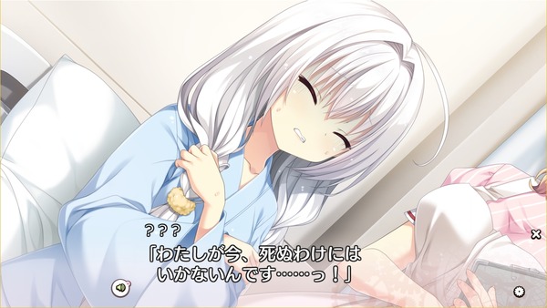 イメージ6914