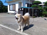 セマス合宿04