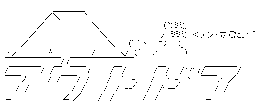 AAの画像化(545)