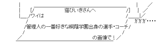 AAの画像化(529)
