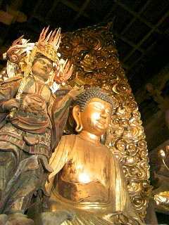 03c68c6d.jpg
