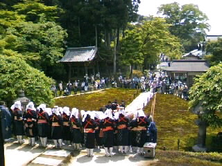 14014cf8.jpg