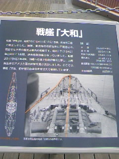 7b061211.jpg
