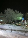 ee84d890.jpg