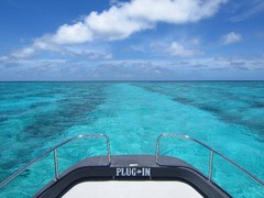 IMG_1274