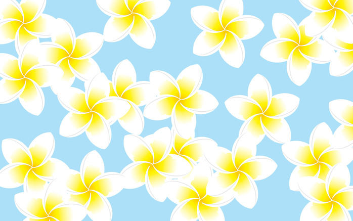 plumeria_wallpeper6