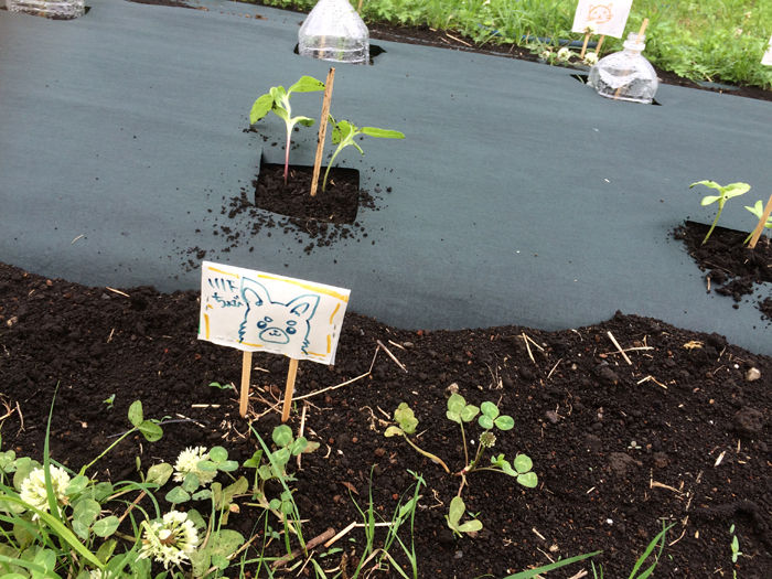 Photo 5-16-15, 12 24 29 PM
