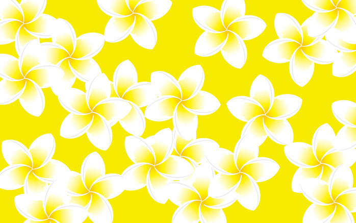 plumeria_wallpeper3