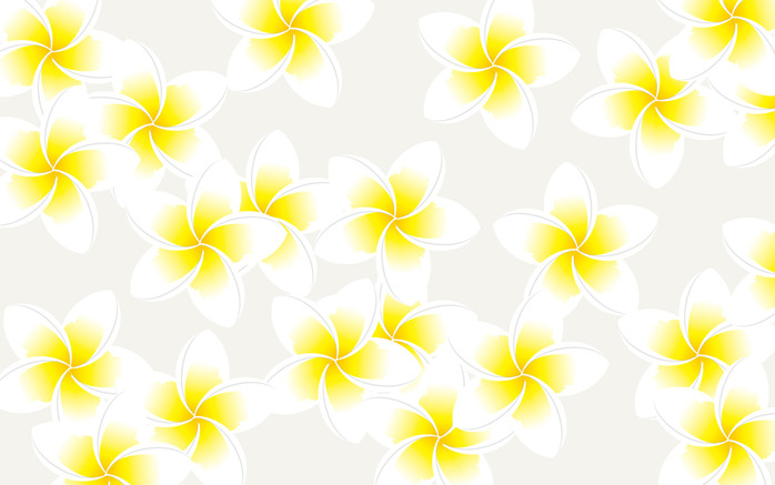 plumeria_wallpeper5