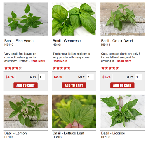 basil