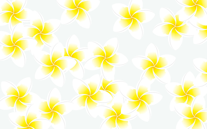plumeria_wallpeper1
