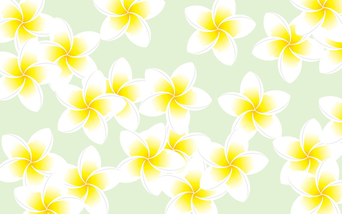 plumeria_wallpeper4