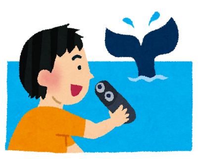 whale_watching