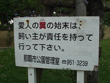 taimo20001